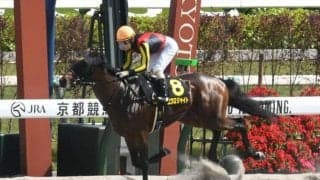 【レパードS想定馬・騎手】鳳雛S逃げ切りVエクロジャイト 無傷2連勝中オメガギネスなど20頭