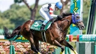 【今日の注目ポイント】新潟競馬がスタート 新潟ジャンプSが午前中に開催