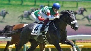 【新潟JS予想】最終障害からゴールまで300m 開幕週も差し馬の台頭に注意