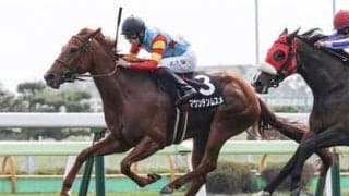 アイビスSDはまれに見る大混戦。「前哨戦」で大敗した逃げ・先行馬の巻き返しに要注意