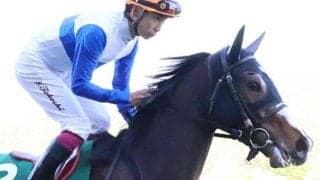 条件＆展開ベストで巻き返し必至  新潟メイン・関越Sはストーリアに期待