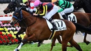 【土曜札幌7R予想】前走は重賞で負けて強し 未勝利戦の上がり34.2が力の証明