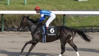 ラチ沿いを走れば渋太い シンシティの押し切りだ