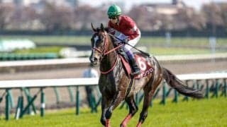 【アイビスSD予想】韋駄天S組が主役！ 今年はますますその傾向が加速!?