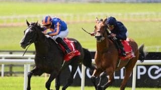 オーギュストロダンが弔いの勝利を挙げるか 父ディープの命日を前に再び快挙へ