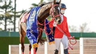 【AI予想・アイビスSD】近年は波乱傾向の直千重賞！ 本命は初志貫徹の快速自慢