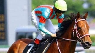 【豊栄特別予想】待望の新潟芝1600m 得意舞台で巻き返しだ