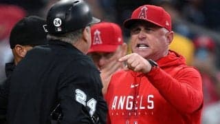 【MLB】エ軍ネビン監督に1試合出場停止処分　前夜の敗戦後に審判団に猛抗議…機構発表