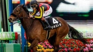 【クイーンS予想】秋の飛躍に向けて重要な一戦 実績馬を順当に評価