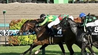 アイビスSDは今年も荒れる　穴党記者が狙いを定めた伏兵３頭の大駆けに期待膨らむ