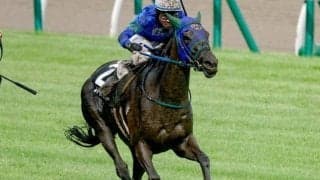 【アイビスSD・馬体重】ファイアダンサーは462kg(+4)、ジャングロは468kg(+4)