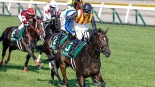 【アイビスSD結果】オールアットワンスが差し切って同レース2勝目！