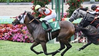 【クイーンS】51キロドゥーラが鮮やかに差し切る