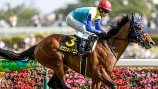 【レパードS】パクスオトマニカ、ミスティックロアらが登録