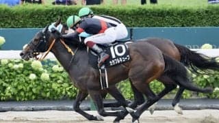 【ポプラS】ドレフォン産駒 カラフルキューブがゴール寸前で差し切る