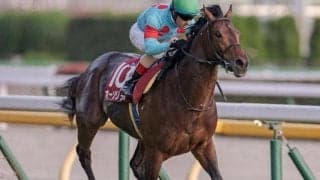 新潟で3歳ダート重賞レパードS、エルムSでオーソリティ復帰/今週の競馬界の見どころ