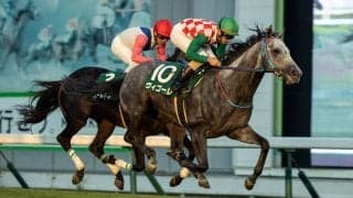 【盛岡・せきれい賞】大井所属ヴィゴーレが芝レースでV…矢野「馬の行く気に任せた」