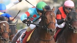 【エルムS登録馬】オーソリティなど19頭