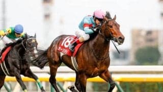 【エルムS見どころ】オーソリティが長期休養明けで初のダート出走