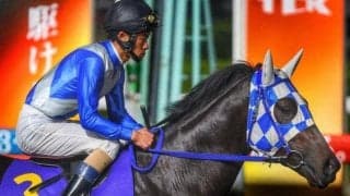 【大井・サンタアニタT枠順】羽田盃＆東京ダービー2着のヒーローコールは5枠8番