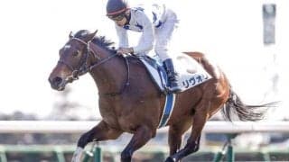 【先週のJRA抹消馬】ヒシイグアスの半妹リヴォリ、地方の名牝クラーべセクレタの仔クラーベドラドなど