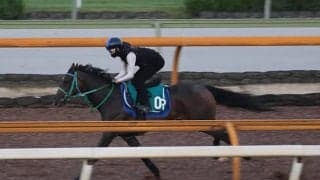 サリオスやサラキアの妹 良血サフィラが新潟で初陣/関西馬メイクデビュー情報