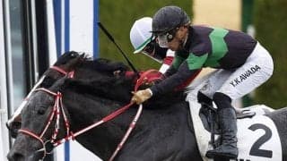 【レパードS想定騎手】ミスティックロアは川田将雅騎手、エクロジャイトは北村友一騎手