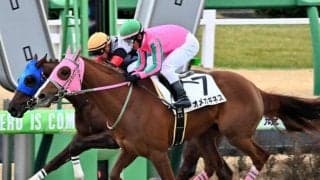 レパードS歴代最多勝の戸崎圭太騎手 今年は2戦2勝のロゴタイプ産駒と参戦