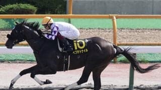 【エルムS想定騎手】ペプチドナイルは富田暁騎手、オーソリティはC.ルメール騎手