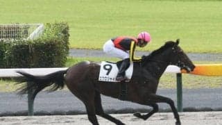 【レパードS展望】真夏の3歳ダート重賞、小回り平坦で先行力が活きる