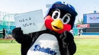 つば九郎の人生相談「どうしたら、人に対して簡潔で適切なアドバイスができる？」