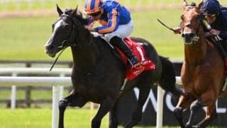 ディープ産駒オーギュストロダンは愛チャンピオンS参戦も 現地メディアが伝える