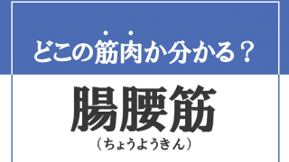 【筋肉クイズ】「腸腰筋」ってどこの筋肉？鍛えることこんな嬉しいことが起きます