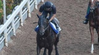 ドンフランキーなど、先週の入厩情報/栗東トレセンニュース