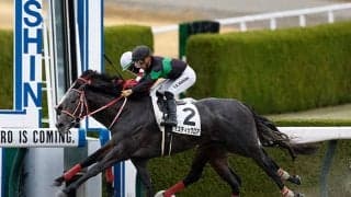 【レパードS予想オッズ】ミスティックロアが予想1番人気