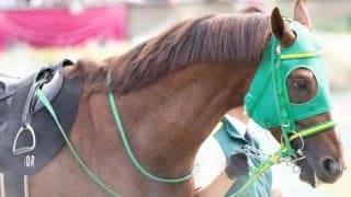 斎藤誠師×斎藤新騎手の父子タッグがエルムSに参戦 連勝中ワールドタキオンで重賞初V狙う