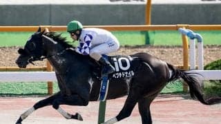 【エルムS予想オッズ】ペプチドナイルが予想1番人気