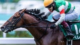 中京記念覇者が3年8カ月ぶりのダート参戦 エルムSで再び逃げ切りV狙う