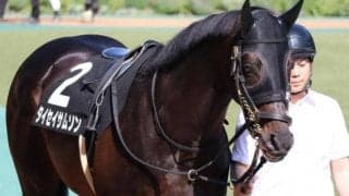 功労馬の父に吉報を メイショウサムソン産駒のタイセイサムソンが重賞初挑戦