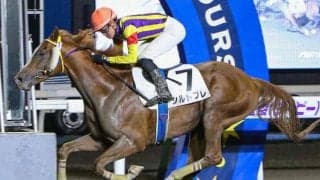 レース史上初の地方馬Vなるか “道営の雄”シルトプレがエルムSに参戦