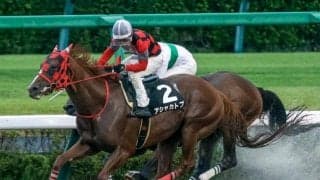 【エルムS展望】叩き2走目アシャカトブの変わり身に期待したい