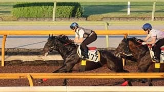 カワキタレブリー、関屋記念1週前追い切り速報/栗東トレセンニュース