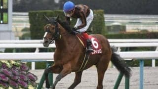 重馬場巧者として鳴らしたモズベッロが抹消 兵庫県で乗馬に