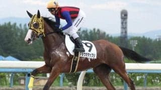 11戦11勝ショウガタップリら 黒潮盃の他地区選定馬が発表