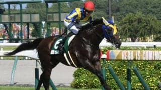 セルバーグ、ディヴィーナなど関屋記念に17頭