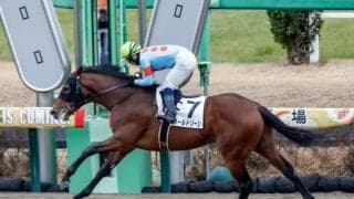 G1・11勝馬＆北米トップサイアーが兄姉にいる世界的な良血種牡馬の仔 レパードSでJRA重賞初見参