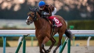 モズベッロが競走馬登録抹消