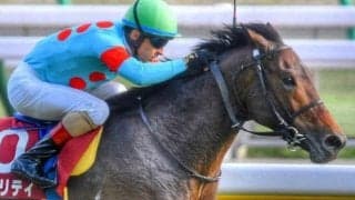 日本を代表する名牝系の良血馬 1年4カ月ぶりとなる実戦は初ダートのエルムS