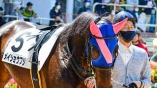 タルマエ産駒の父仔制覇なるか レパードSにメイショウフジなど