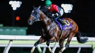 【大井・サンタアニタT結果】シュアゲイトが逃げ切り9連勝＆重賞初制覇！